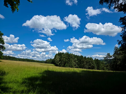 germany, adventurous hiking route through dark conifer forest beneath vivid blue skies in black forest