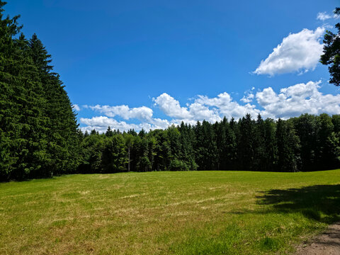 germany, breathtaking emerald pastures surrounded by majestic black forest woodland beneath flawless summer blue skies