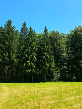 germany, charming jaegerstand overlooking sunlit meadows and forest edge in idyllic black forest countryside paradise