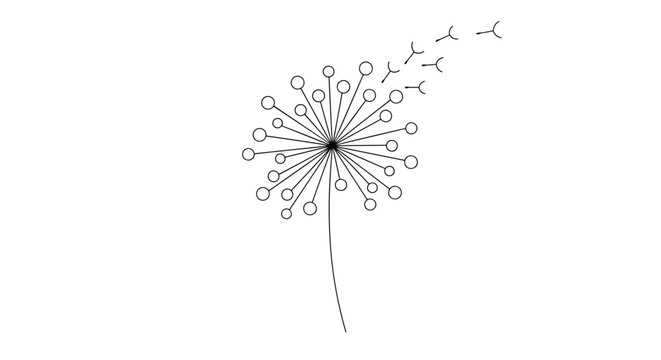 Delicate dandelion flower losing its seeds in a gentle breeze hand-drawn as a simple black outline on white.