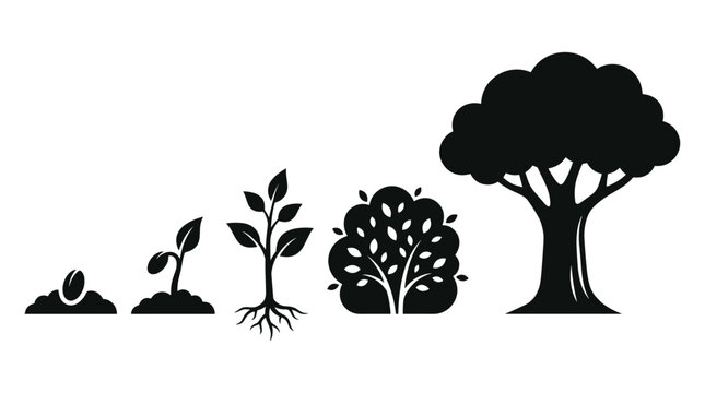 Plant growth stages from seed to full tree, depicting life cycle and nature's development process