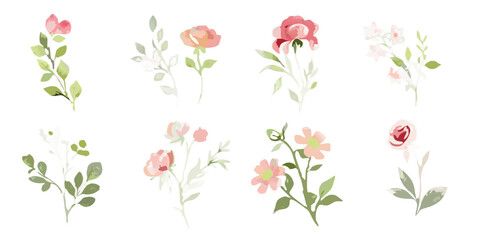 Floral arrangements vector illustration with transparent background © mdemamul