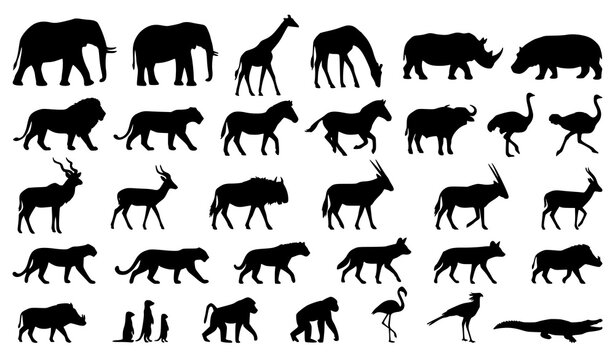 Wildlife conservation silhouette pack featuring African savanna mammals birds and zoo animal vector icons