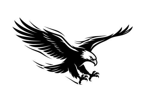 Powerful Eagle Landing Attack Vector Illustration Engraving Style