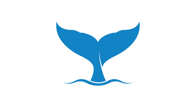 Blue whale tail fluke silhouette on white background.