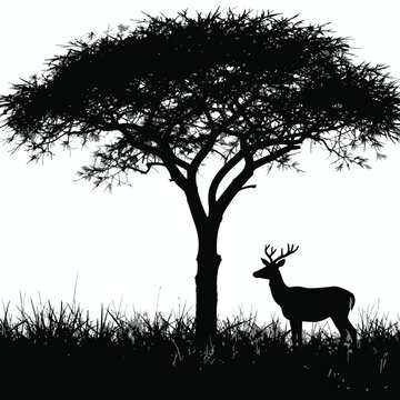 African wildlife silhouettes lions elephants giraffes zebras and rhinoceroses