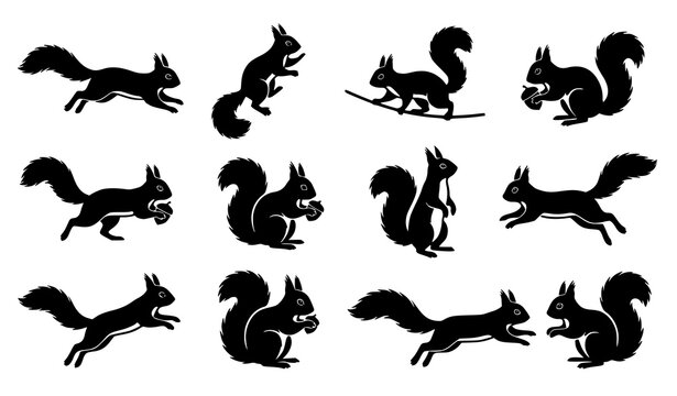 Energetic squirrel silhouette pack featuring woodland animals in action poses for pattern and nature designs