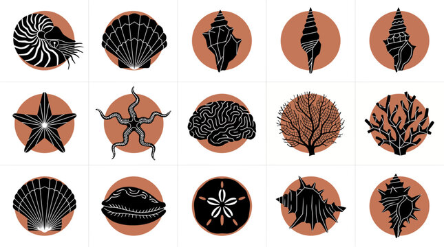 Collection of minimalist black seashell and coral silhouette icons on terracotta circular backgrounds, representing branding identity and eco friendly packaging design