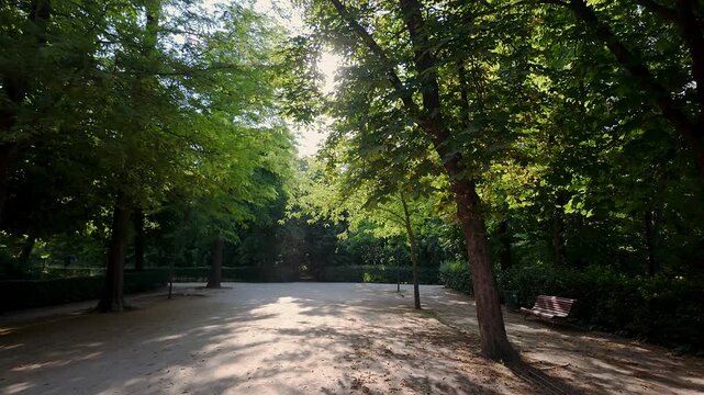 Beautiful idyllic scene among large trees and wooden benches in the Retiro, Madrid.