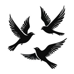 Fototapeta premium Three Flying Birds in Minimalist Silhouette Style