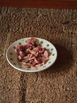 Raw meat pieces inside a cat bowl with paw prints on a brown carpet.