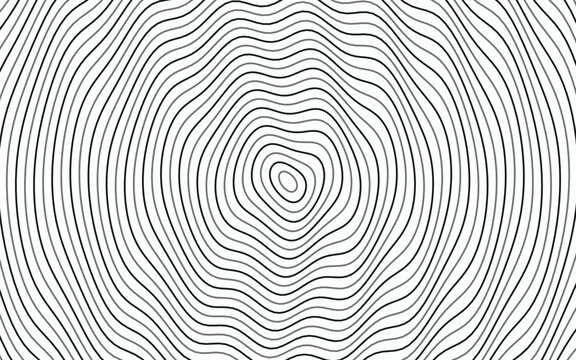 Topographic contour line background, abstract concentric ripple pattern vector, organic wood grain texture for minimalist graphic design