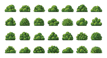 Fototapeta premium Large selection of green bushes and garden shrubs in various shapes and structures displayed in a clean grid.