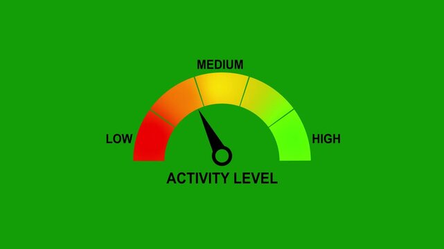 Activity Level Gauge Meter with Low Medium High Scale Indicator Animation