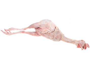 Fresh Whole Raw Chicken with Head and Feet © Nadira