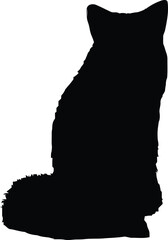 Fototapeta premium Cat silhouette sits in a quiet, watchful position, creating a charming decorative graphic for pet branding.