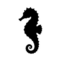 Black Seahorse Silhouette Vector Illustration Isolated on White © Julia