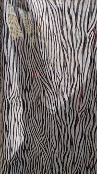 Close-up of a translucent lightweight fabric with a black and white zebra stripe animal print pattern gently swaying. Vertical video for commercial textile retail and fashion design ads.