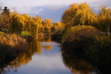 Fototapeta premium Trees in autumn colors reflected in the water