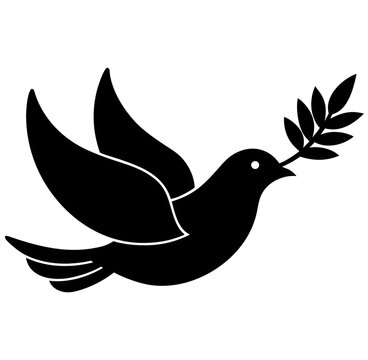 dove and peace