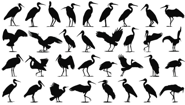 Herons stand in various poses within this comprehensive set of black silhouettes which serves as an essential graphic resource for illustrators and designers working on wetland or nature themes.