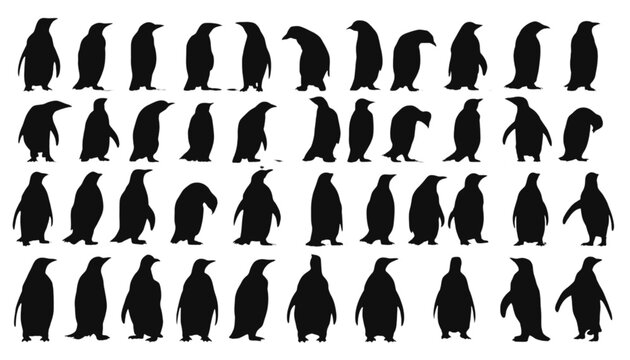 Penguins standing in multiple poses form a comprehensive set of black silhouettes designed for educational materials or winter themed graphic projects requiring animal figures on a plain background.