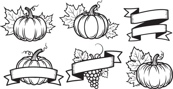 Set of hand drawn pumpkins and ribbons for autumn harvest design elements
