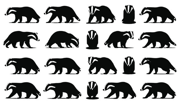 Badger silhouettes represent the unique physical structure and distinctive markings of this nocturnal mammal in a series of black graphic icons isolated on a solid white surface.