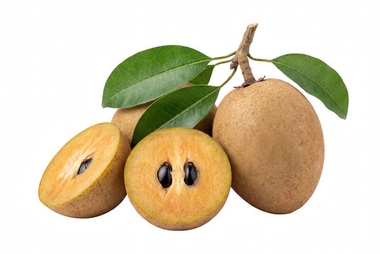 Whole and Sliced Sapodilla Fruits with Green Leaves