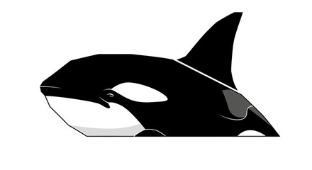 Orca Killer Whale Head Profile Vector Illustration - Black and White © Wong