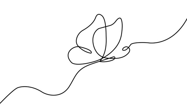 Continuous line butterfly art. Outline single art butterfly hand drawn sketch element on white background. Concept spring nature, fly. 4k motion graphics video animation