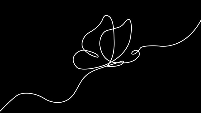 Continuous line butterfly art. Outline single art butterfly hand drawn sketch element on white background. Concept spring nature, fly. 4k motion graphics video animation