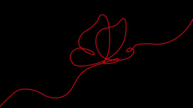 Continuous line butterfly art. Outline single art butterfly hand drawn sketch element on white background. Concept spring nature, fly. 4k motion graphics video animation