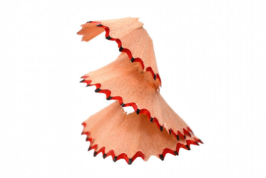 Curved wooden pencil shaving with scalloped red edges