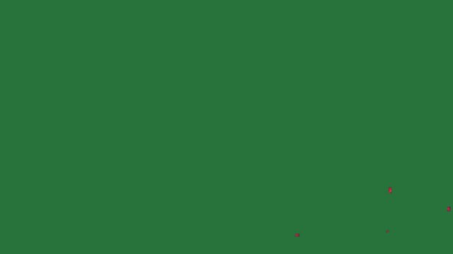 An animated fire explosion with bright colors and fgeneral 1t movement on a green screen. Perfect for action video projects. - Professional Chroma Key Footage