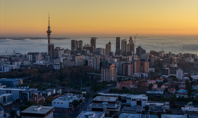 Auckland, New Zealand - The Sky Tower stands tall over a city shrouded in morning fog, with cranes indicating ongoing construction in the urban landscape. © Zenstratus