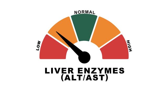 Animated liver enzymes level meter moving from high level to normal level, ideal for concepts related to liver health, hepatitis treatment.