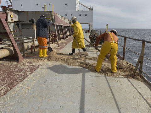 Hilarious ship blooper! Seafarers shovel leftover wheat from the main deck into the ocean after loading. Watch as one crew member&rsquo;s pants tear while working. Authentic and funny glimpse into real sail