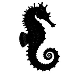 A stylized black silhouette of a seahorse with a coiled tail © Zidnah