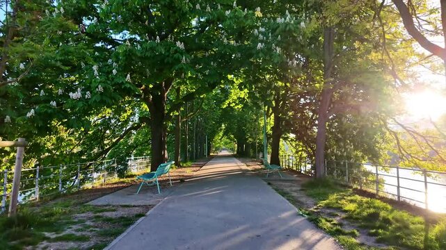 First-person walking on empty paved walkway lined with lush green trees and benches at Allee des Cygnes in Paris, France