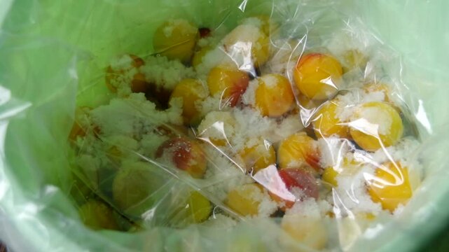 梅仕事　梅干しを漬ける　