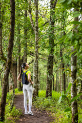 Fototapeta premium Woman hiking in rainforest. She loves hiking on nature trail. Enjoy adventure hiking in jungle.
