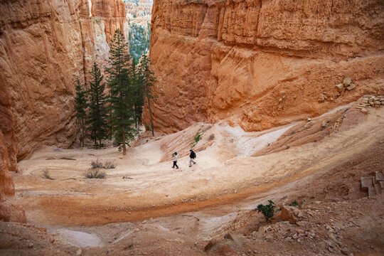 Tourists are walking down the steep switchbacks of the Navajo Loop Trail. Bryce Canyon National Park. Utah. USA.