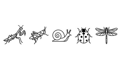 Minimal insect outline collection with praying mantis grasshopper snail ladybug and dragonfly vector illustration set © Emdadul