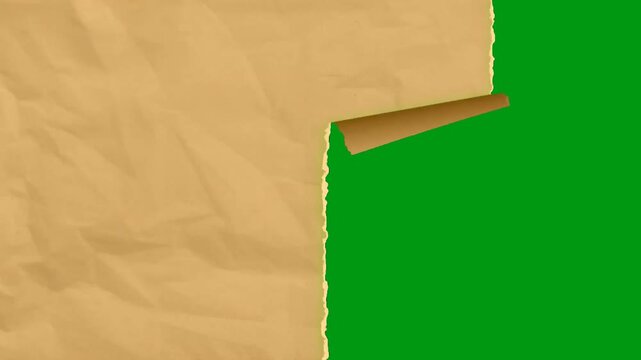 Corner paper peel transition rolling back to reveal a bright green screen background layer for professional video editing use. clip motion stock clip element