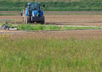 Fototapeta premium Powerful blue tractor parked on grass in farm field