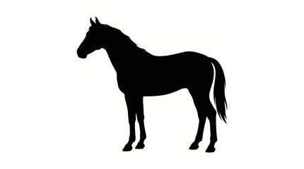A black silhouette of a horse stands alone. © sajjadhossain