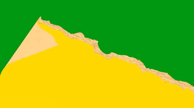 Yellow bottom half paper tear transition overlay design asset over a clean green screen chroma key background frame. video footage stock stock template motion