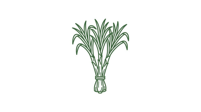 Bunch of Sugarcane Stalks Tied Together Illustration.