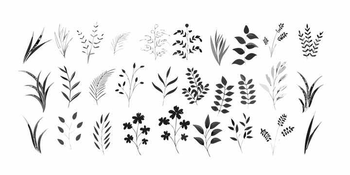 Foliage Silhouettes A Collection Of Plant Sprigs And Leaves In Gray Scale